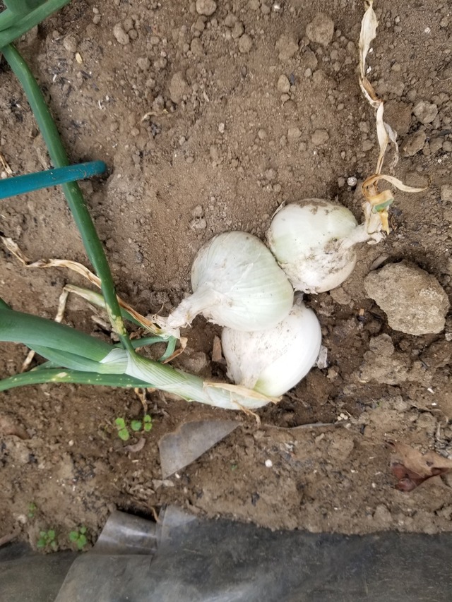 20231219_112231_copy_1512x2016