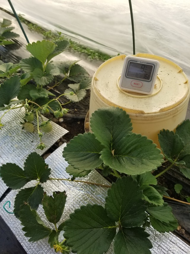 20231221_081154_copy_1512x2016