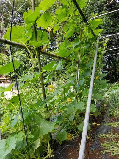 20190625_073921-1620x2160