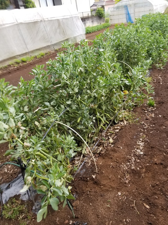 20230430_081652_copy_1512x2016