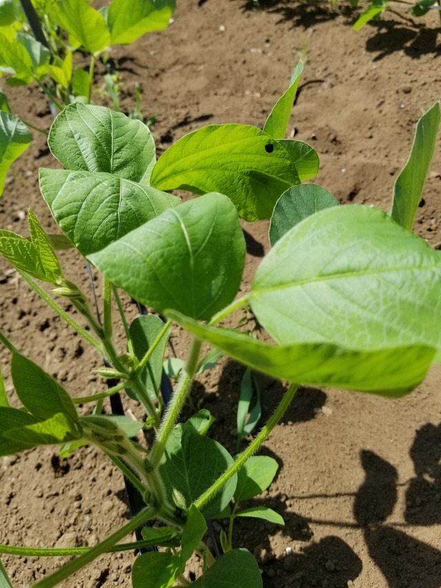 20220801_102858_copy_1512x2016