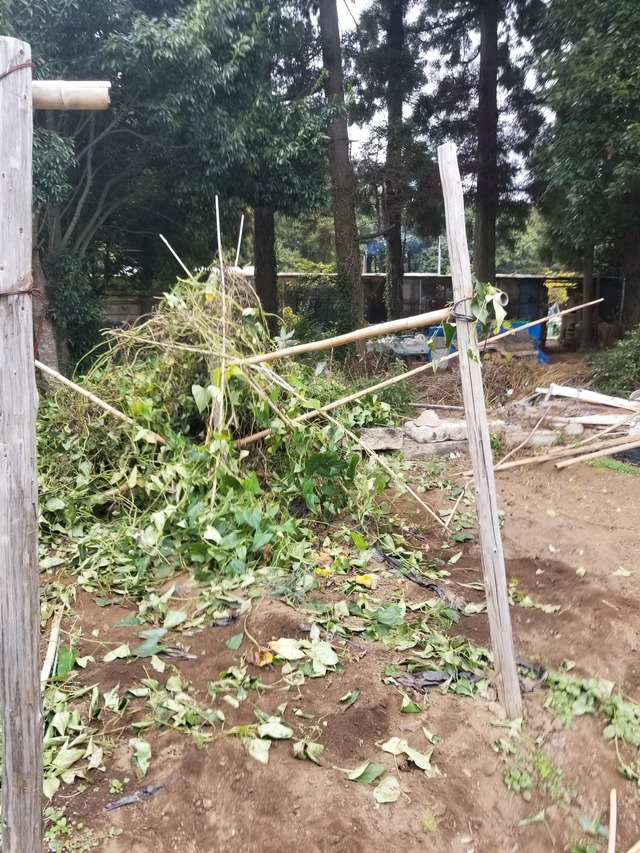 20231115_102345_copy_1512x2016