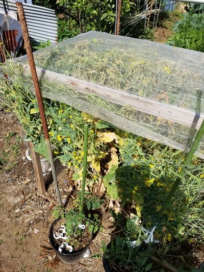 20190517_083241-1620x2160