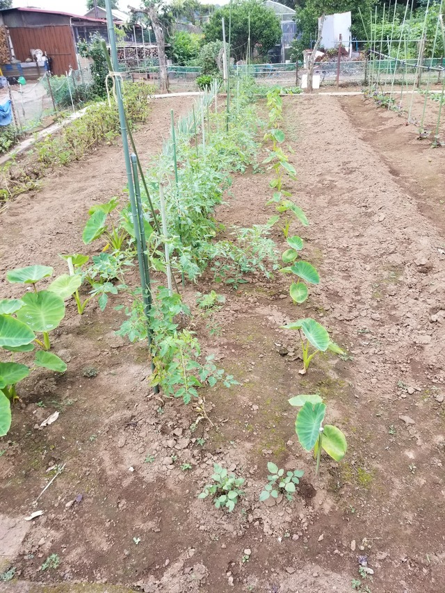 20230628_071916_copy_1512x2016