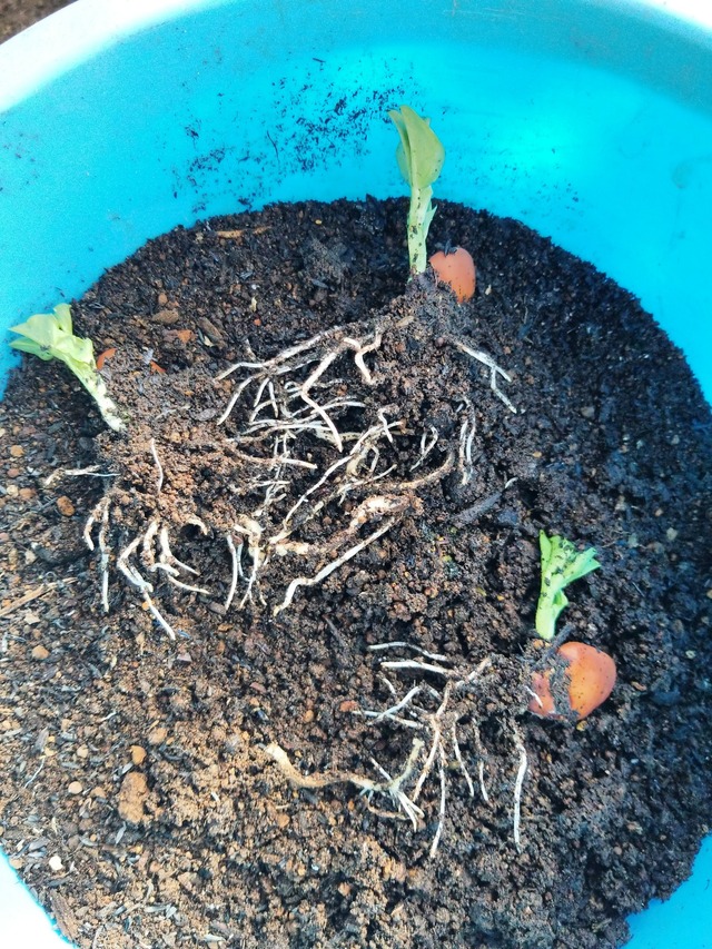 IMG_20231106_083849_DRO_copy_1512x2016