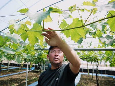 o0400030014530143465