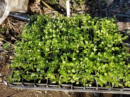 20191228_090614-3024x2268