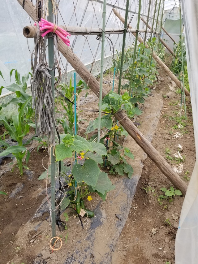 20230513_144010_copy_1512x2016