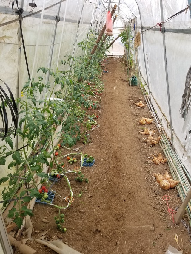 20230628_095348_copy_1512x2016