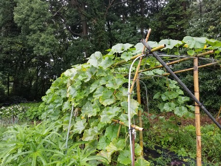 20190712_080041-2160x1620