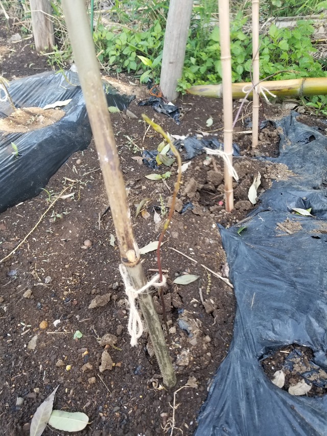 20230510_084949_copy_1512x2016