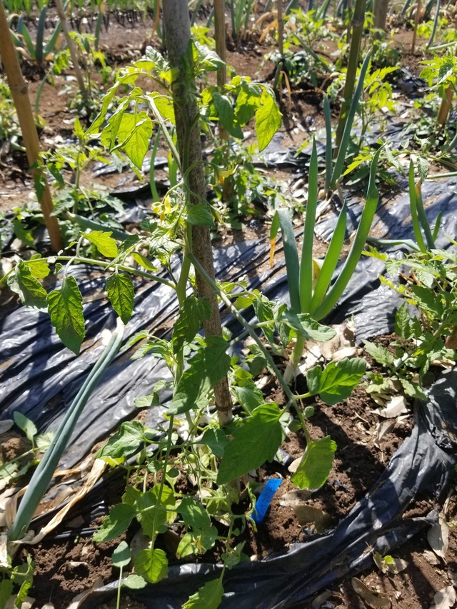 20230510_083602_copy_1512x2016