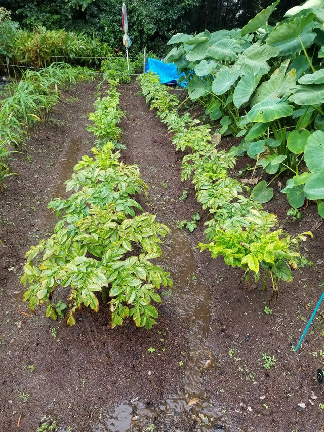 20210918_072618_copy_2268x3024