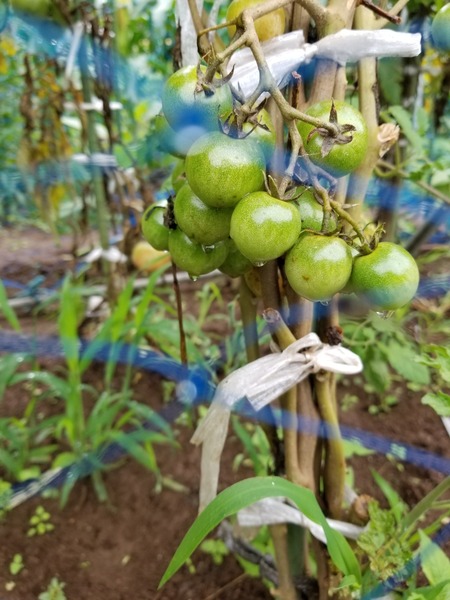 20190707_101308-1620x2160