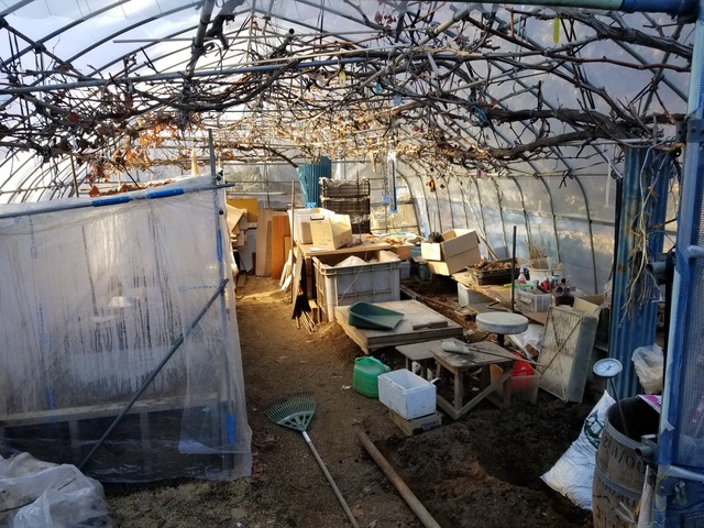 20221229_130619_copy_3024x2268