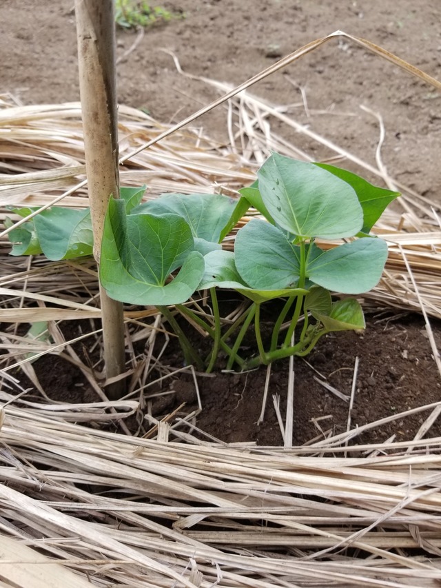 20230628_095634_copy_1512x2016