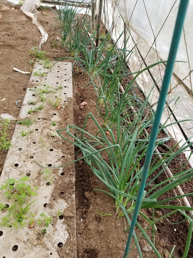 20221206_100753_copy_2268x3024