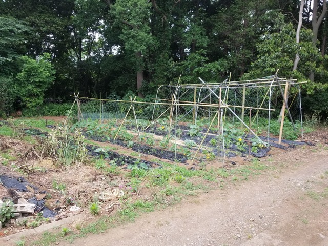 20190603_071541-2160x1620