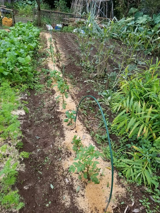 20191022_151931-1620x2160