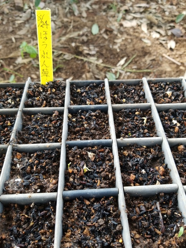 IMG_20230828_135639_copy_1512x2016