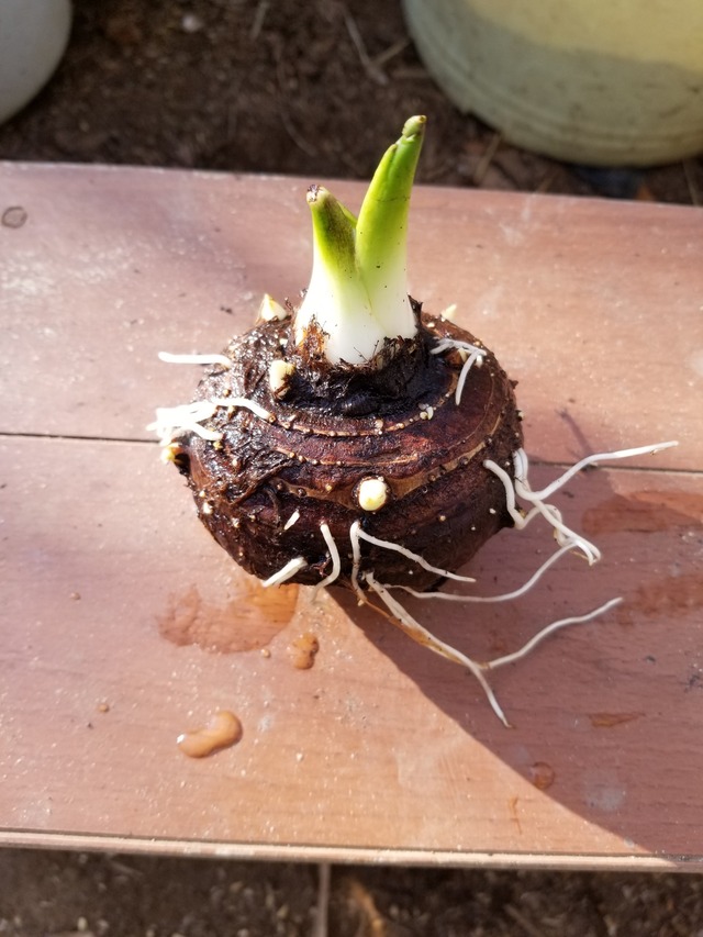 20200224_075648-2268x3024