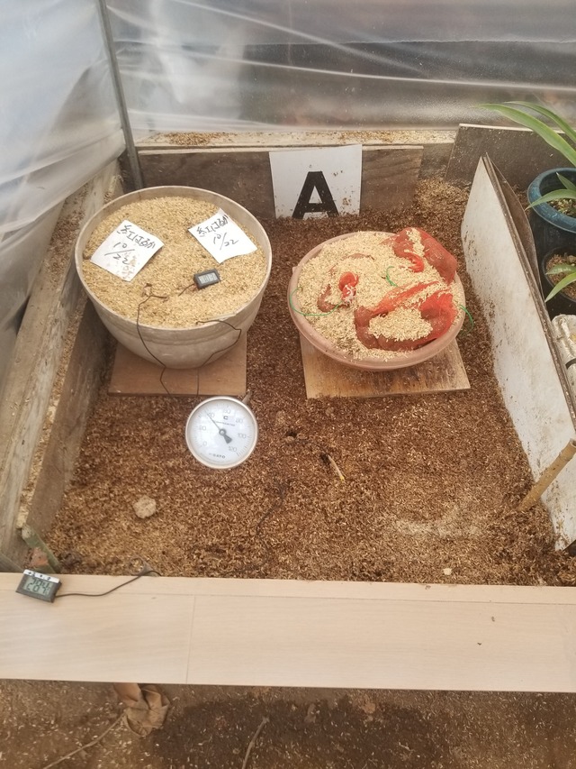 20240111_074035_copy_1512x2016