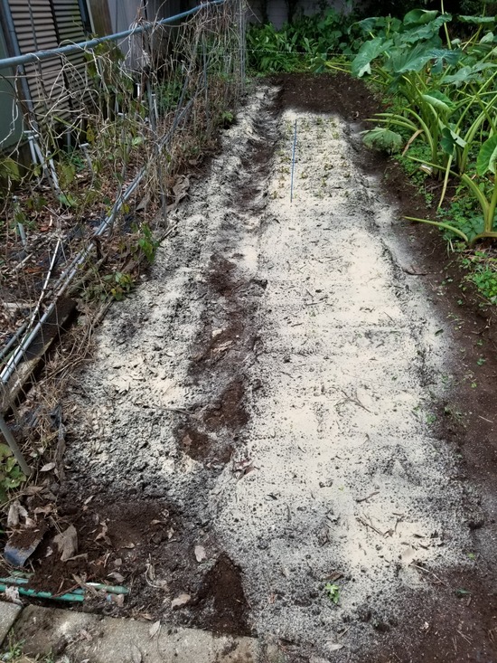 20191019_145446-1620x2160