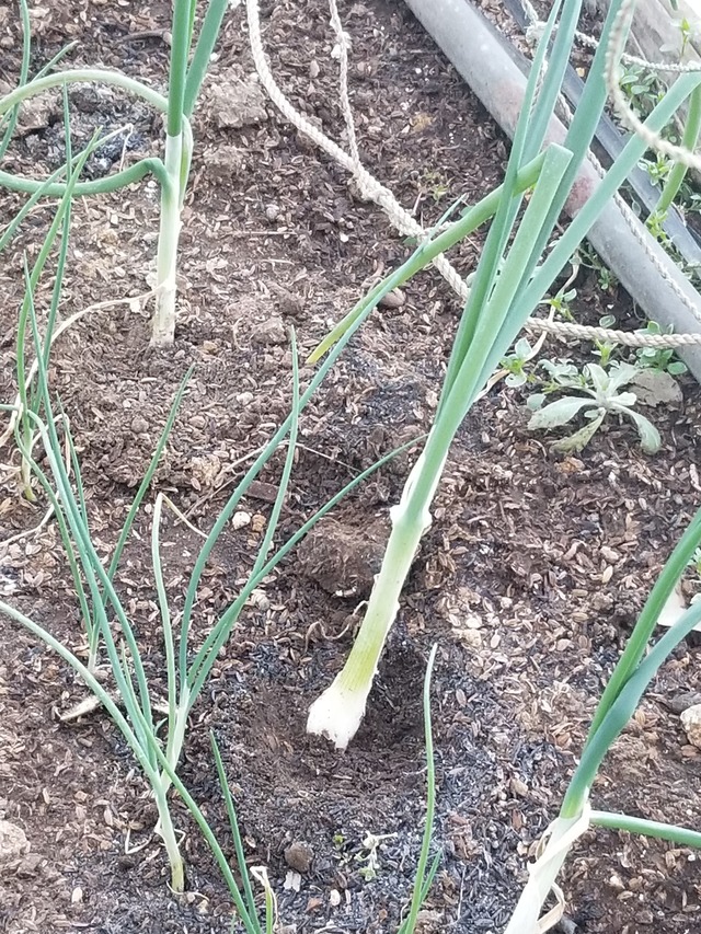 20230110_084016_copy_1512x2016