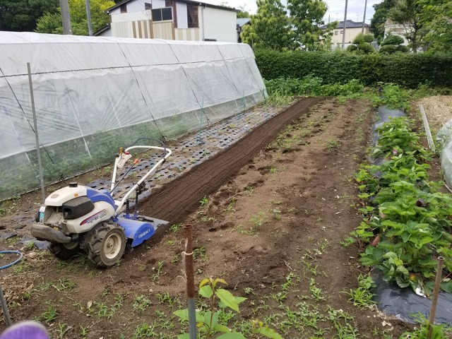 20230531_131916_copy_2016x1512