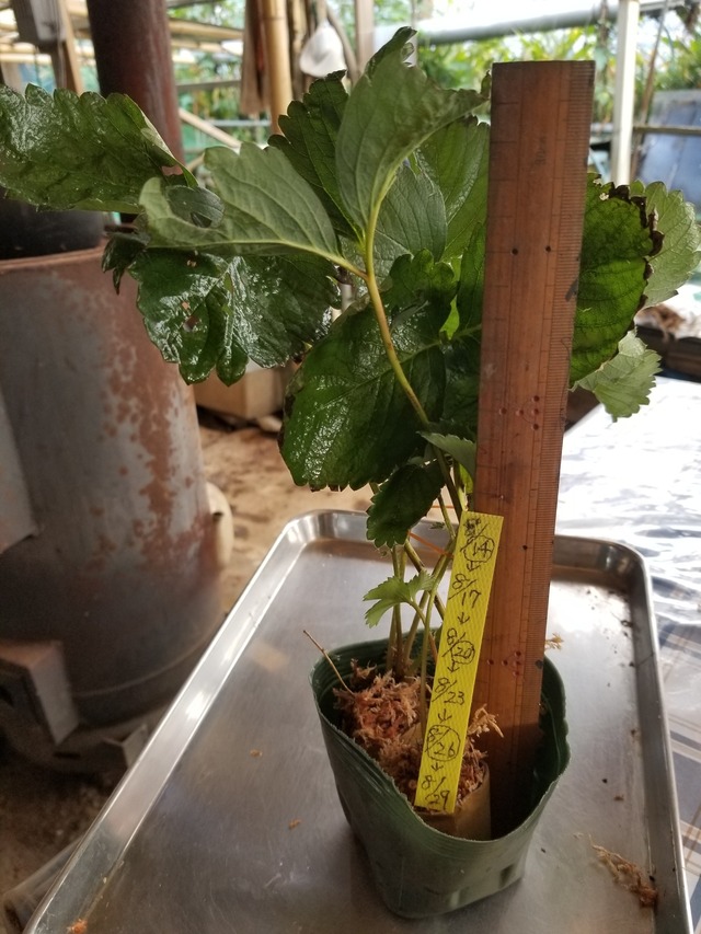 20230814_082216_copy_1512x2016