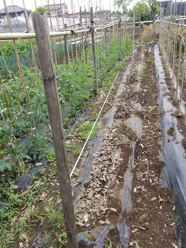 20230531_085348_copy_1512x2016