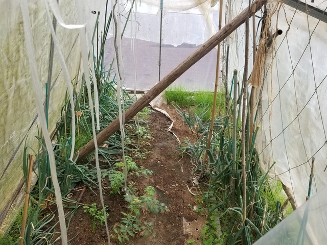 20230426_080238_copy_2016x1512