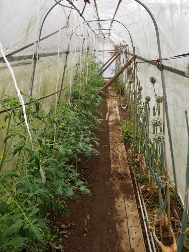 20230603_090154_copy_1512x2016