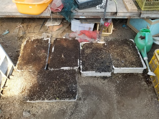 20220226_115657_copy_3024x2268