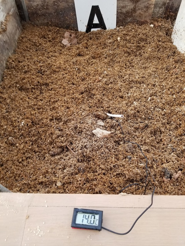 20231220_110541_copy_1512x2016