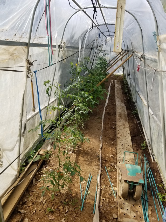 20210601_084514_copy_2268x3024