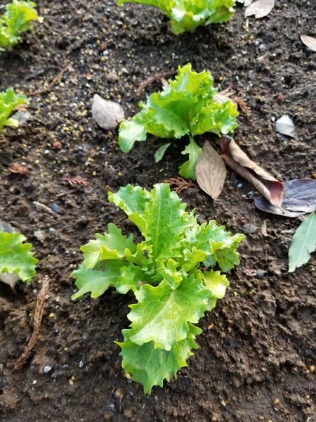 20200110_084530-2268x3024