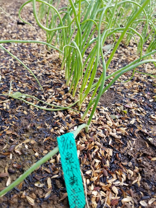 20221028_101751_copy_1512x2016