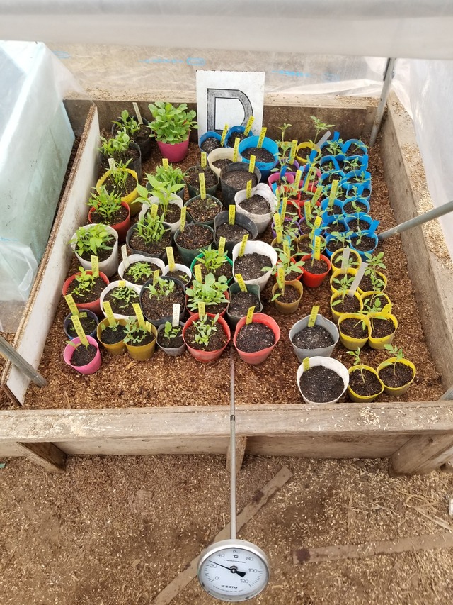 20220322_080722_copy_2268x3024