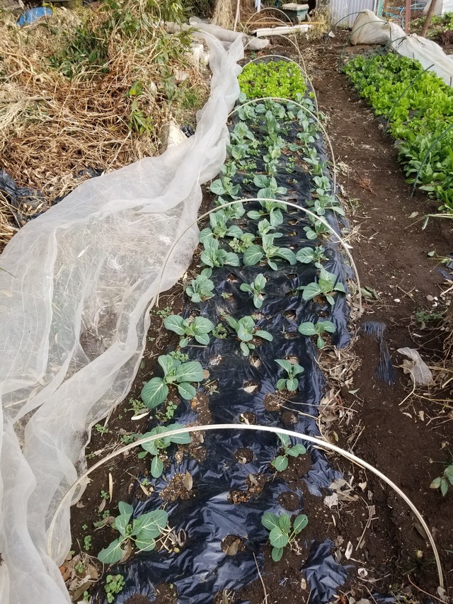 20240122_135730_copy_1512x2016