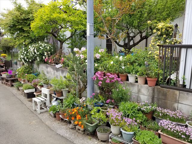 20190429_114323_R