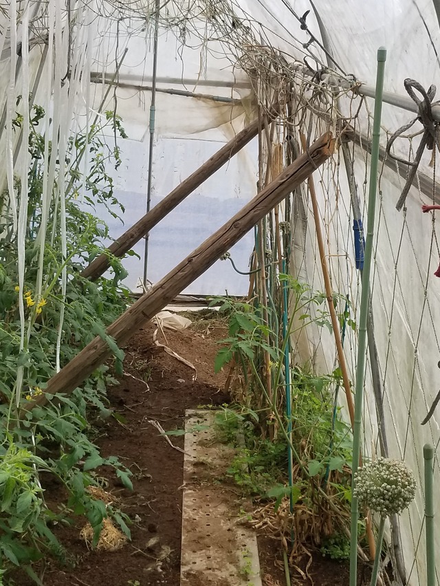 20230603_090215_copy_1512x2016