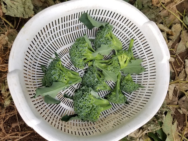 20221027_151926_copy_2016x1512