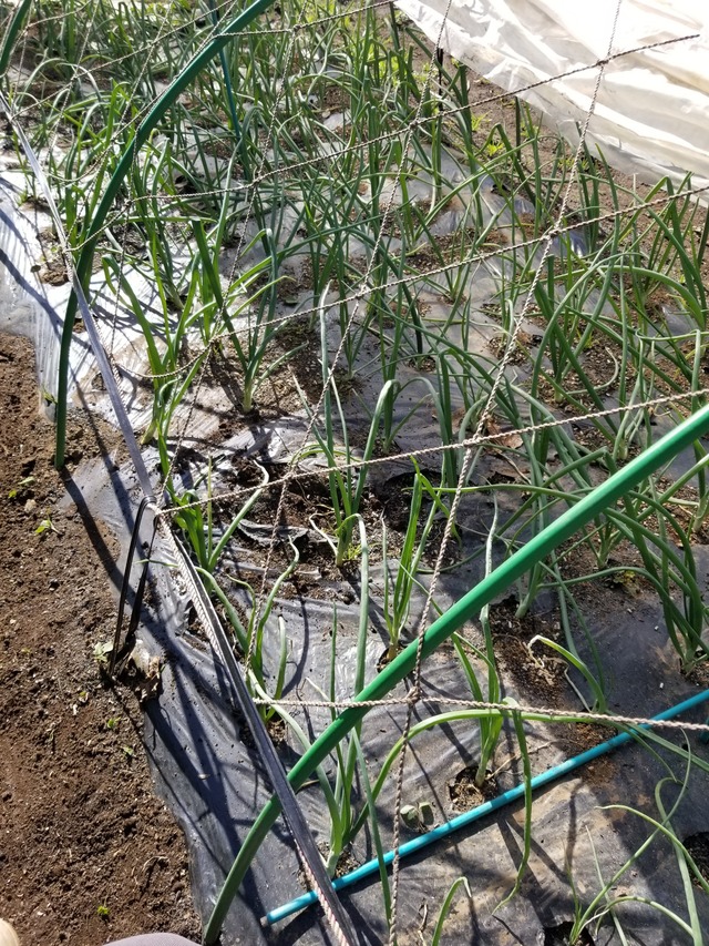 20231122_110515_copy_1512x2016