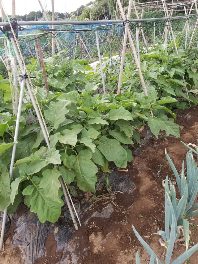 20210723_171128_copy_2268x3024