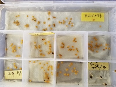 20200205_080823-2268x3024