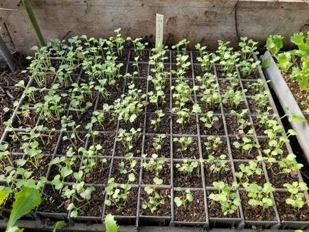 20191212_081658-2160x1620