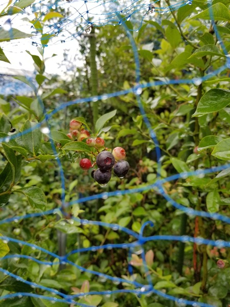 20190716_084103-1620x2160