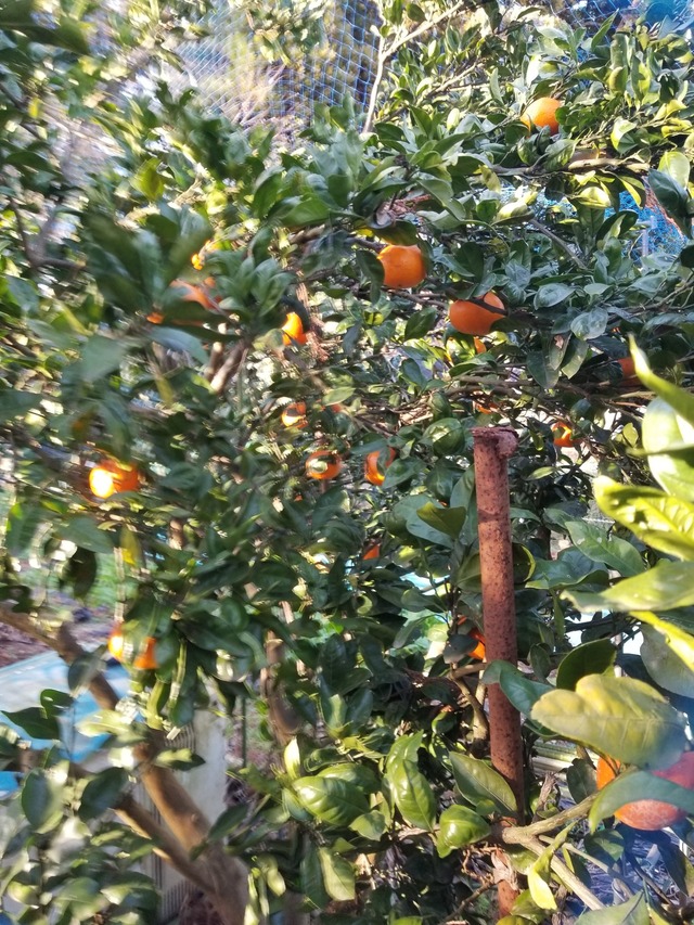 20231218_145936_copy_1512x2016