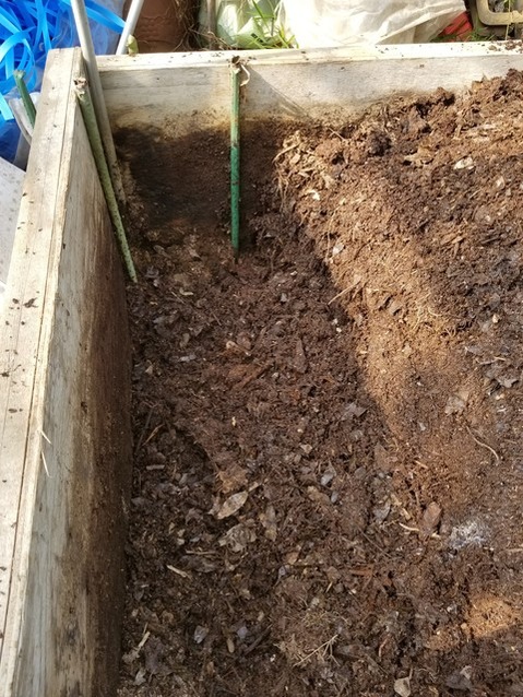 20190508_075923-1620x2160